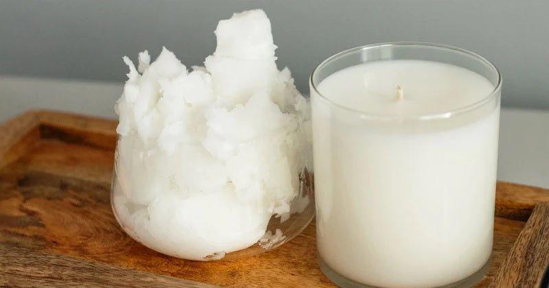 Coconut Wax - luxurist.ae
